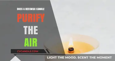 Beeswax Candles: Natural Air Purifiers?