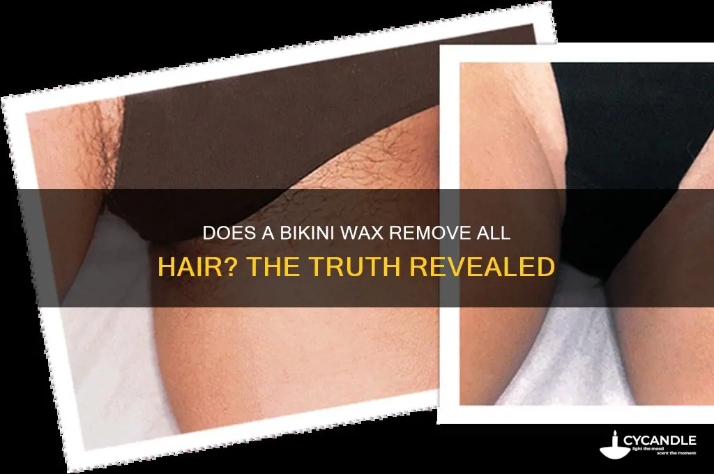does a bikini wax remove all hair