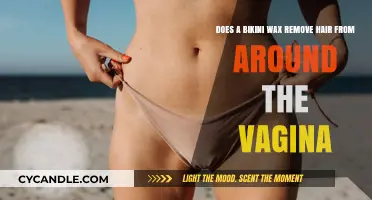 Bikini Wax Explained: Does It Remove Hair Around the Vagina?