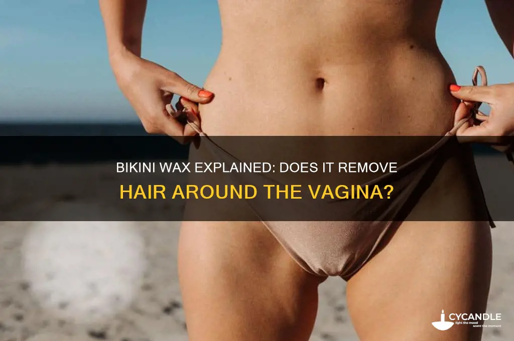 does a bikini wax remove hair from around the vagina