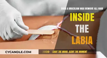 Brazilian Wax: Does It Remove All Hair Inside the Labia?