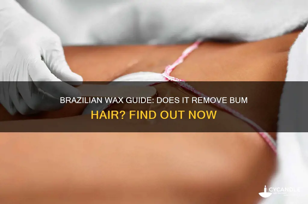 does a brazilian wax remove bum hair
