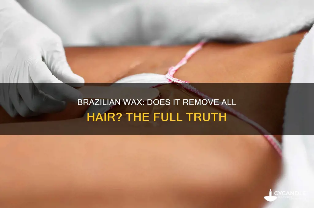 does a brazilian wax remove everything