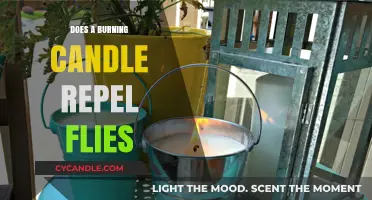 Can Burning Candles Keep Flies Away? Exploring the Myth and Science