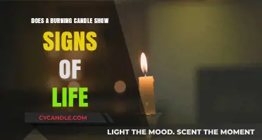 Is a Burning Candle Alive? Exploring the Science Behind Its Flame