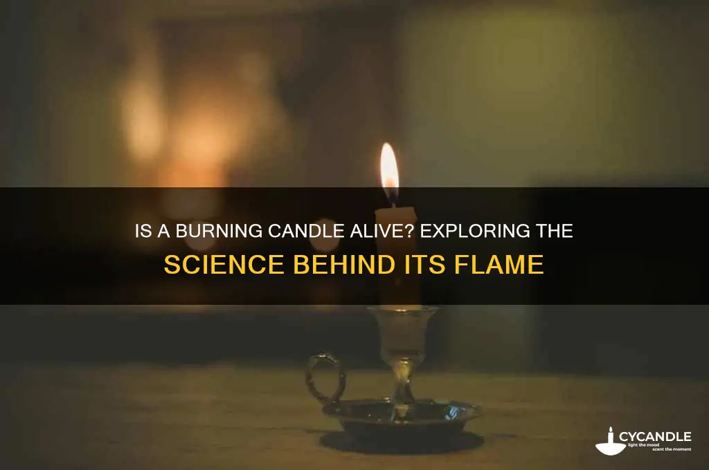 does a burning candle show signs of life