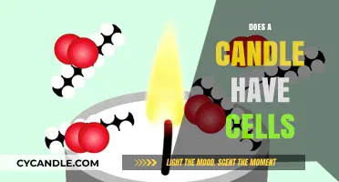 What Are Candles Made Of? Do They Have Cells?