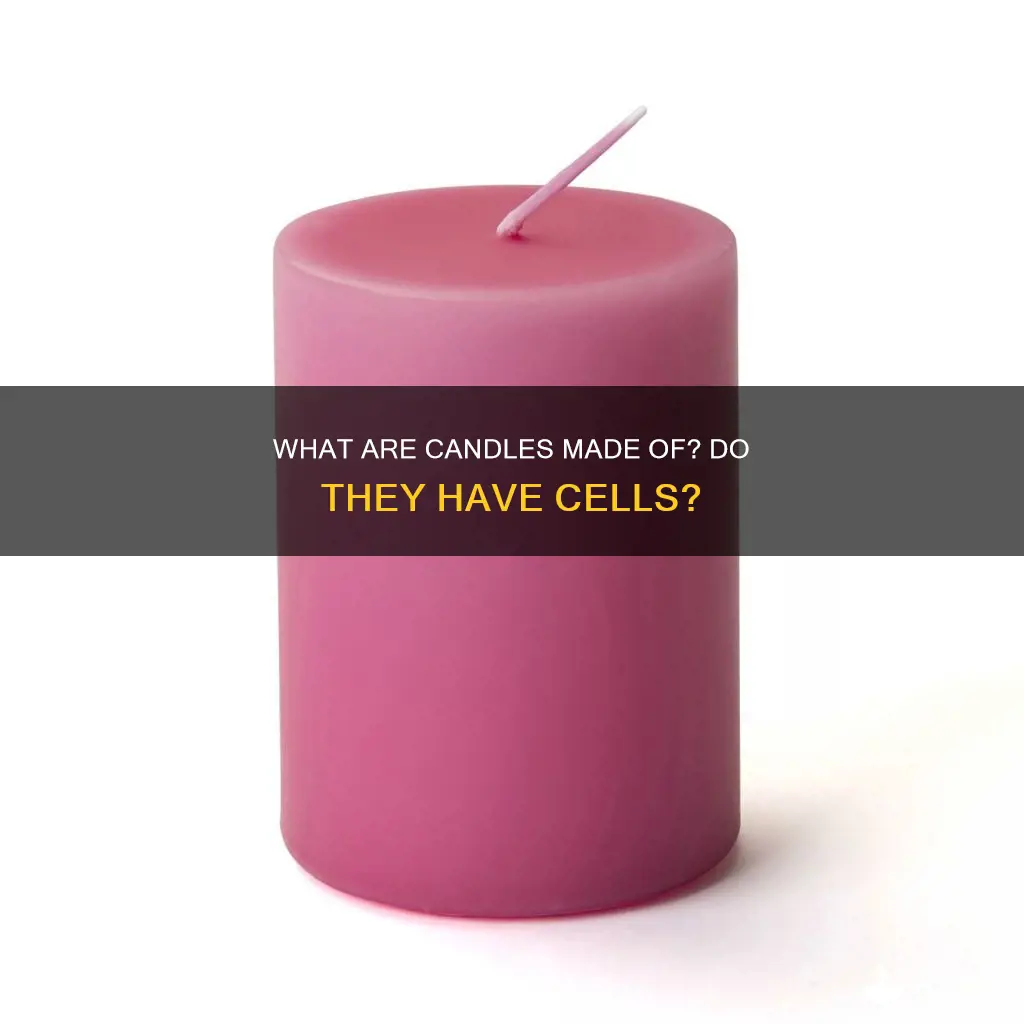 does a candle have cells