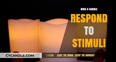 How Do Candles React to Stimuli?