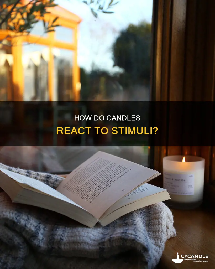 does a candle respond to stimuli