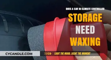 Preserving Your Vehicle's Shine: Waxing Cars in Climate-Controlled Storage
