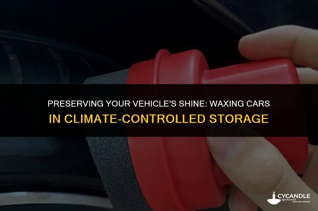 does a car in climate controlled storage need waxing