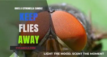 Citronella Candles: Effective Fly Repellent or Myth?