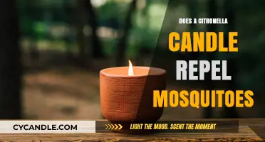 Citronella Candles: Effective Mosquito Repellent or Just a Scented Candle?