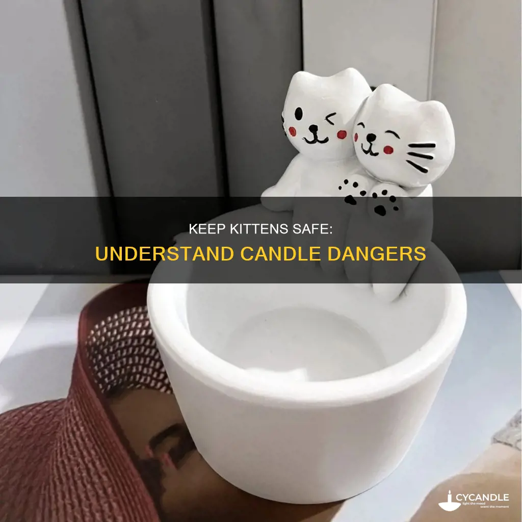 does a kitten understand not to go near candles