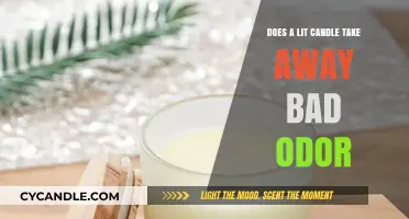 Candle Power: Odor Removal with a Flame