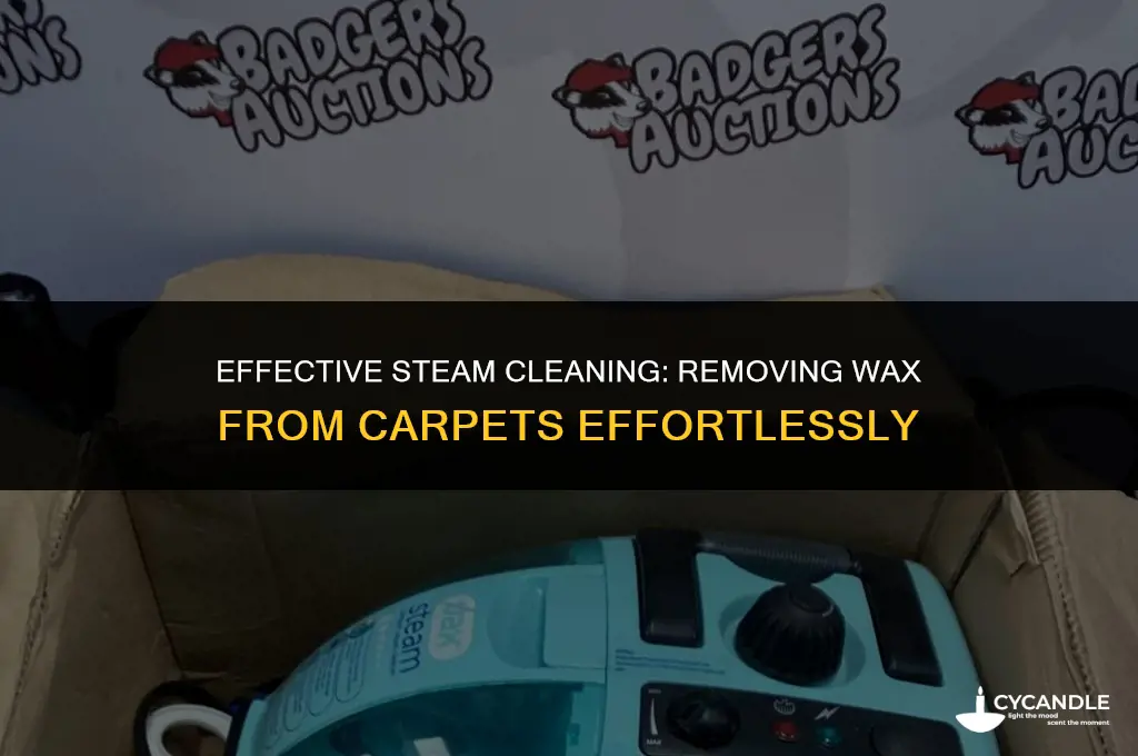 does a steam cleaner get wax out of carpet