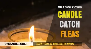 Catching Fleas: Water, Candle, and Tray Tricks
