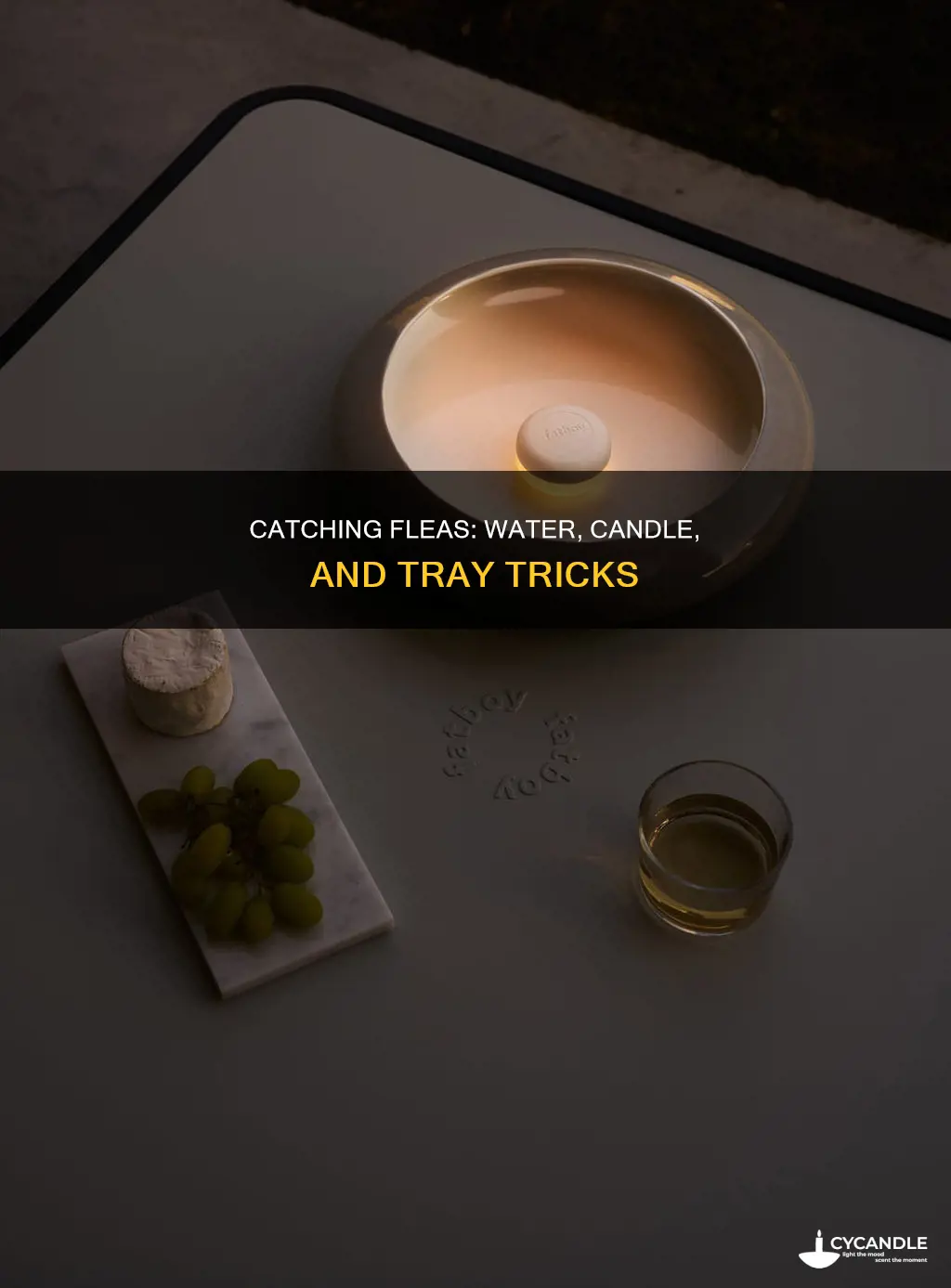 does a tray of water and candle catch fleas