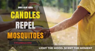 Aloe Vera Candles: Natural Mosquito Repellent?