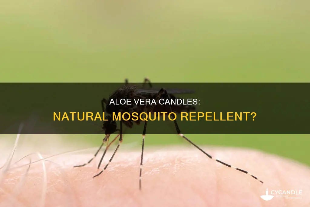 does aloe vera candles repel mosquitoes