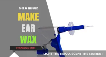 The Surprising Truth About Elephant Ear Wax: A Deep Dive
