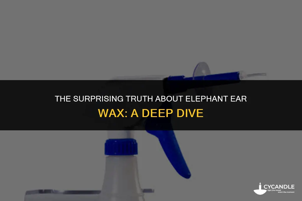 does an elephant make ear wax
