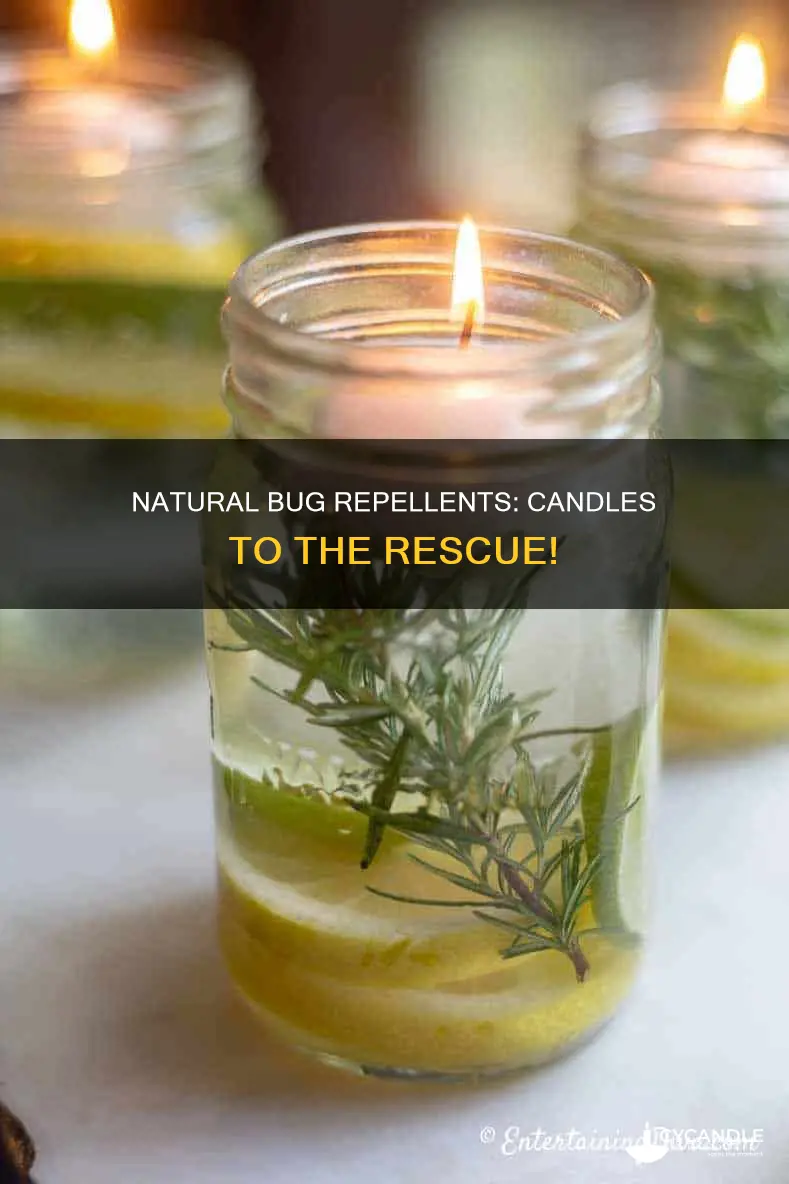 does any candle keep bugs away