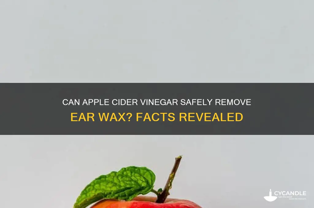 does apple cider vinegar remove ear wax