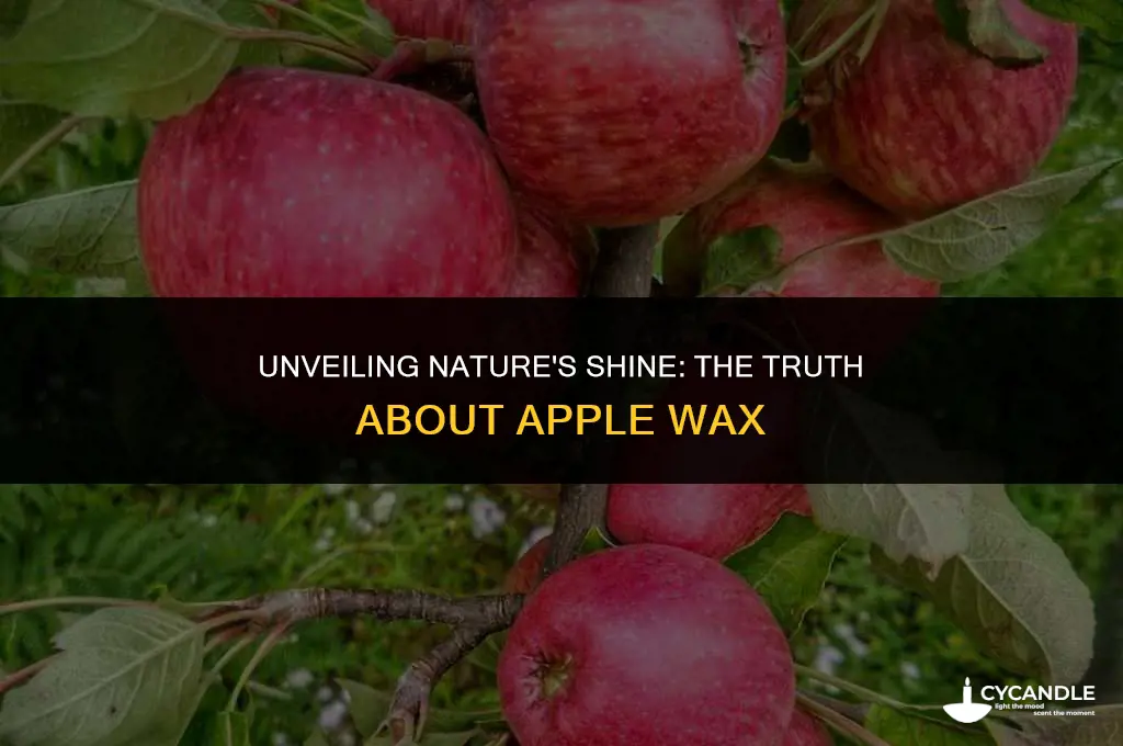 does apple have natural wax