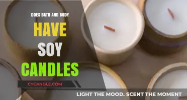 Soy Candles at Bath and Body: What You Need to Know