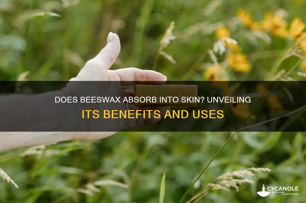 does beeswax absorb into skin