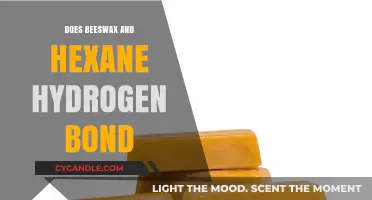 Exploring Beeswax and Hexane: Do Hydrogen Bonds Form Between Them?