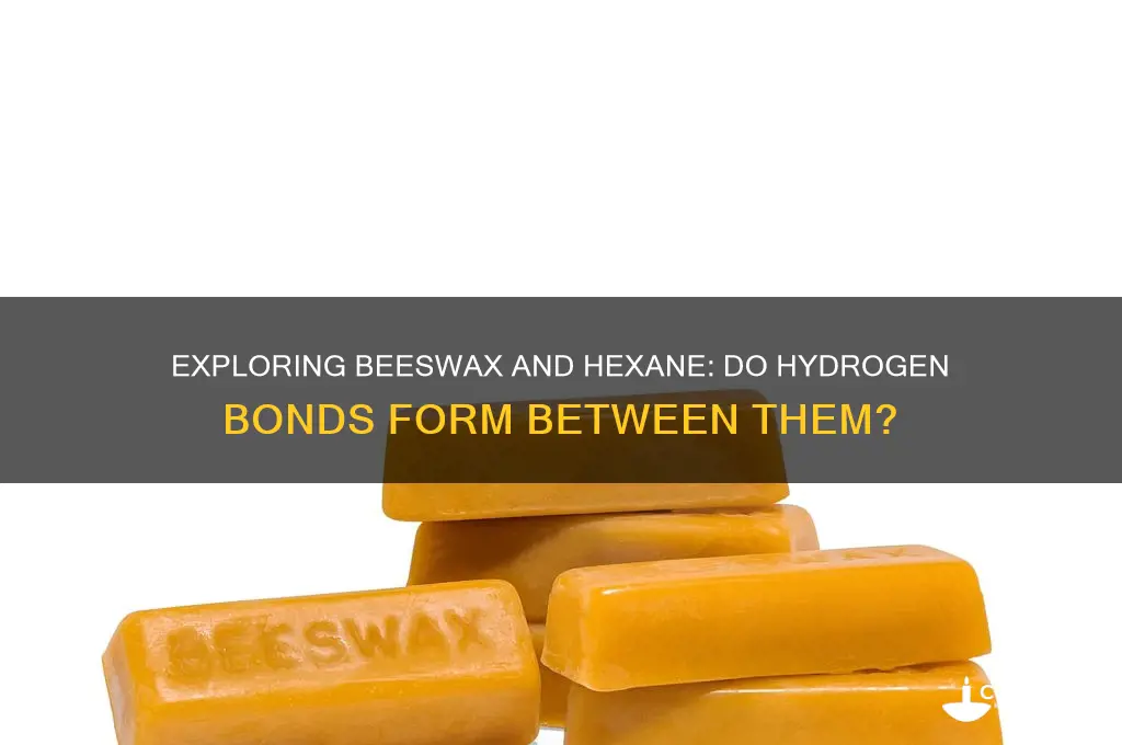 does beeswax and hexane hydrogen bond