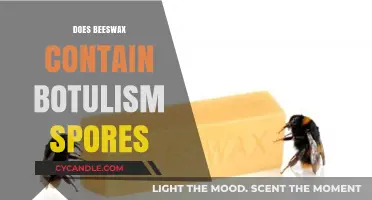 Does Beeswax Contain Botulism Spores? Uncovering the Truth and Risks