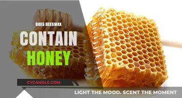 Does Beeswax Contain Honey? Unraveling the Truth About Bee Products