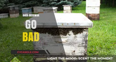 Does Beeswax Expire? Shelf Life and Storage Tips Explained