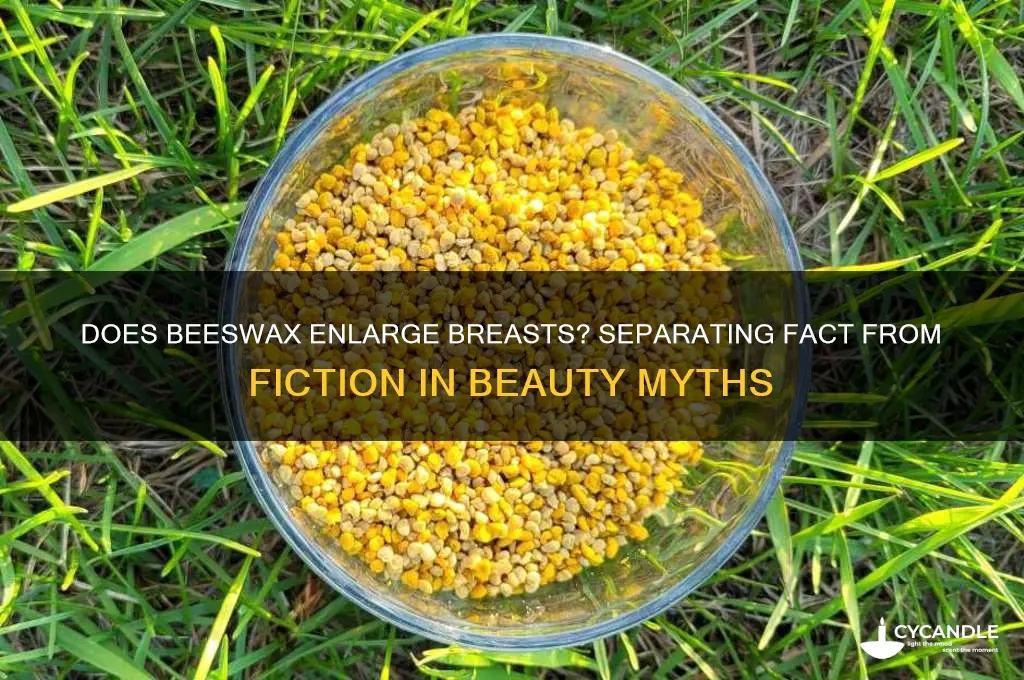 does beeswax grow breasts