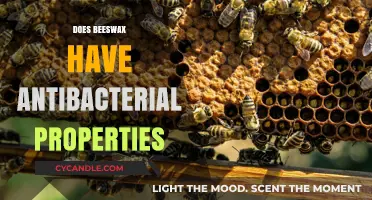 Exploring Beeswax: Unveiling Its Natural Antibacterial Properties and Benefits
