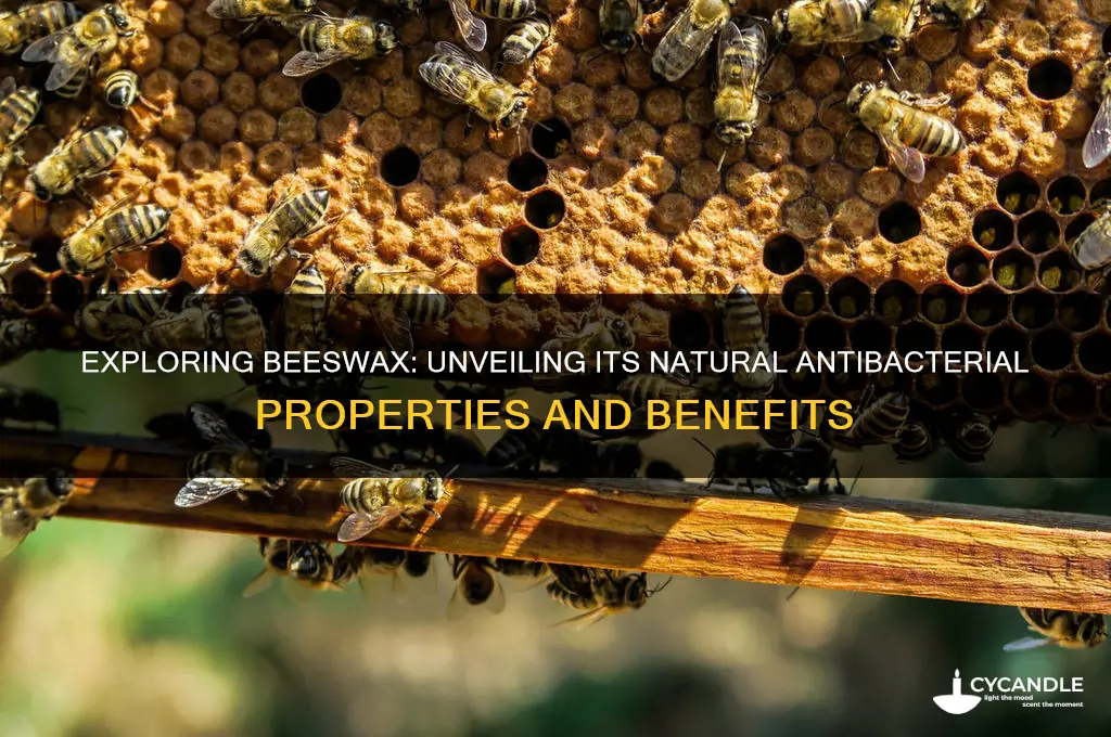 does beeswax have antibacterial properties