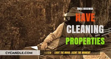 Beeswax Cleaning Power: Unveiling Its Natural Properties and Uses