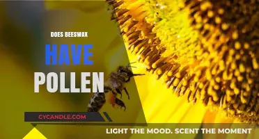 Does Beeswax Contain Pollen? Unveiling the Truth About Beeswax