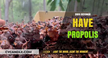 Beeswax and Propolis: Understanding Their Unique Relationship in Beehives
