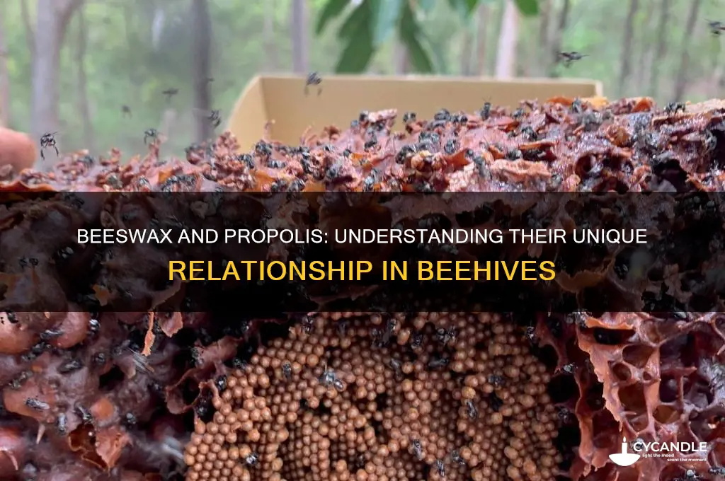 does beeswax have propolis