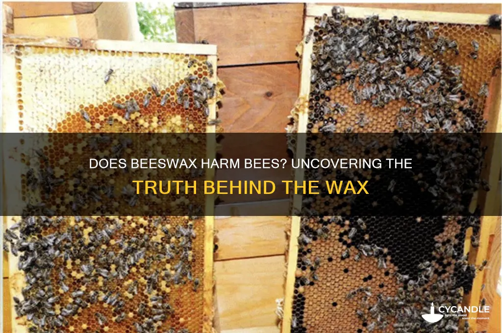 does beeswax hurt bees