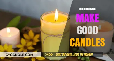 Beeswax Candles: Benefits, Burn Quality, and Eco-Friendly Appeal Explained