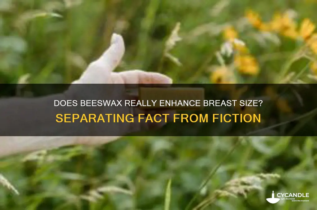 does beeswax make your boobs bigger