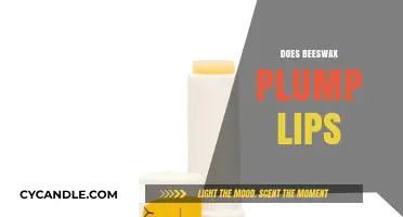 Beeswax Lip Plumping: Myth or Effective Natural Beauty Hack?