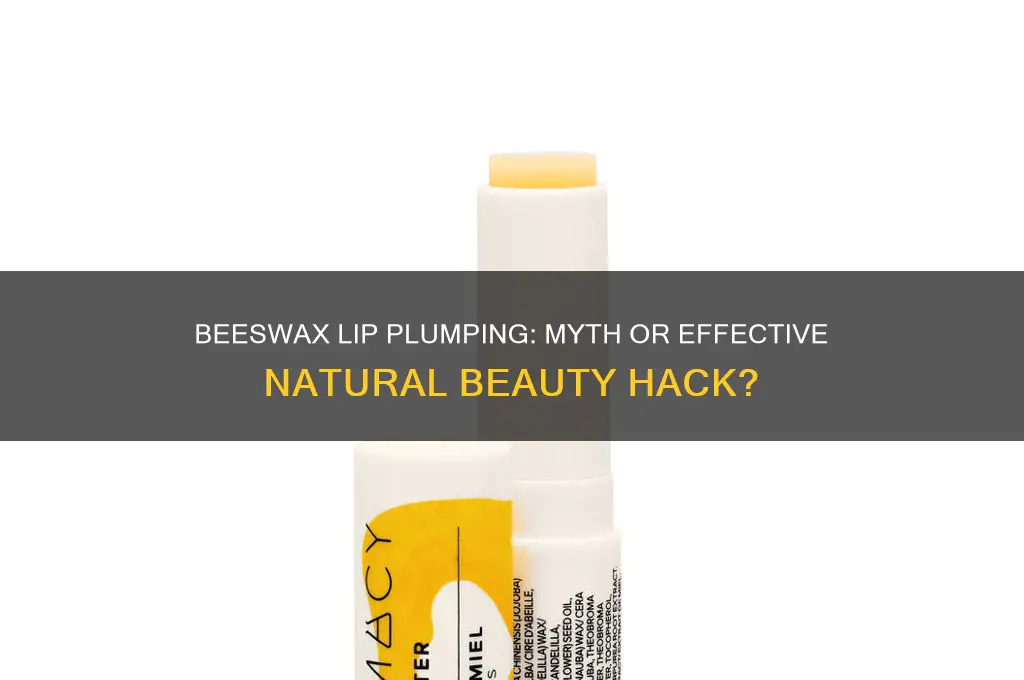 does beeswax plump lips