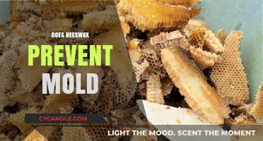 Beeswax's Antimicrobial Properties: Can It Effectively Prevent Mold Growth?